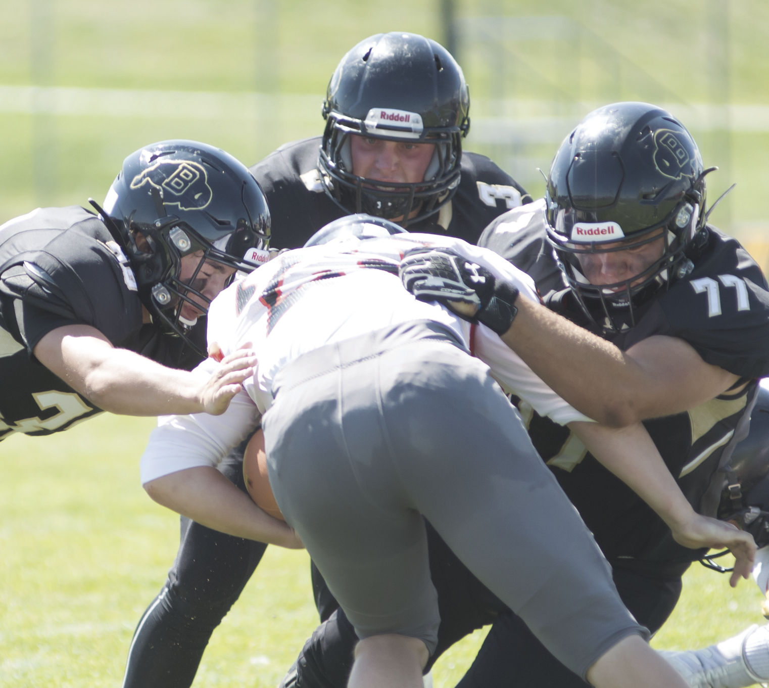 Bison thump Worland 3
